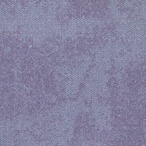 Lavender 4169062