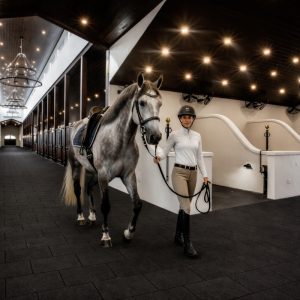 Suelos de caucho para establos y boxes de caballos
